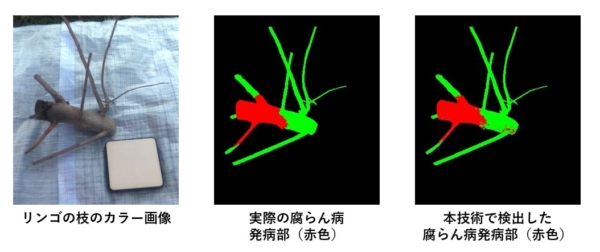 画像診断のサンプル写真